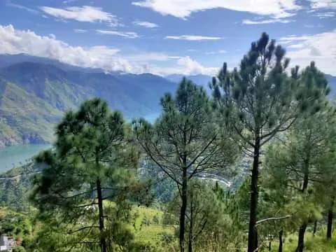 Kapalbhati - Skull-Shining Breath technique practiced at Anantadrishti Yoga